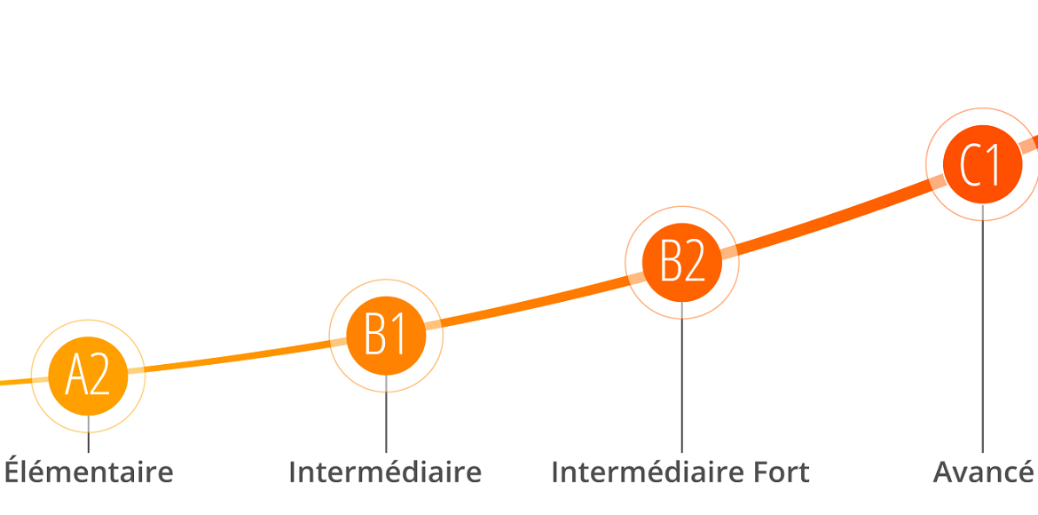 Quel est votre niveau de langue officiel ?