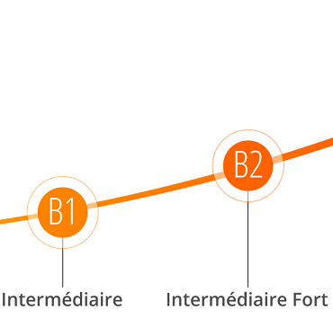 Quel est votre niveau de langue officiel ?